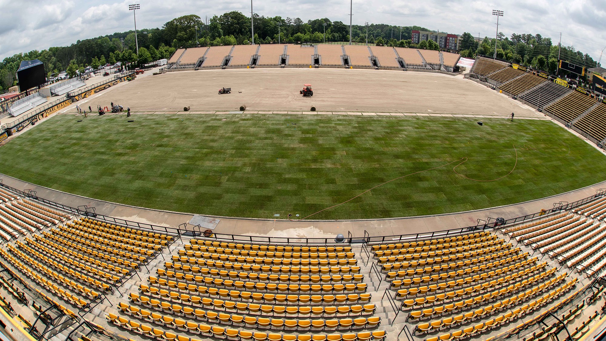 New Hybrid Turf Grass
