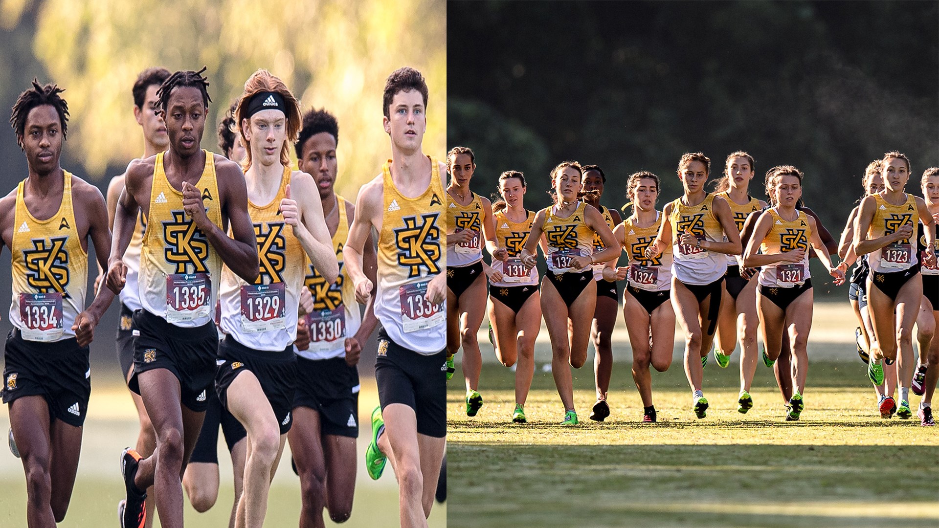 XC Teams