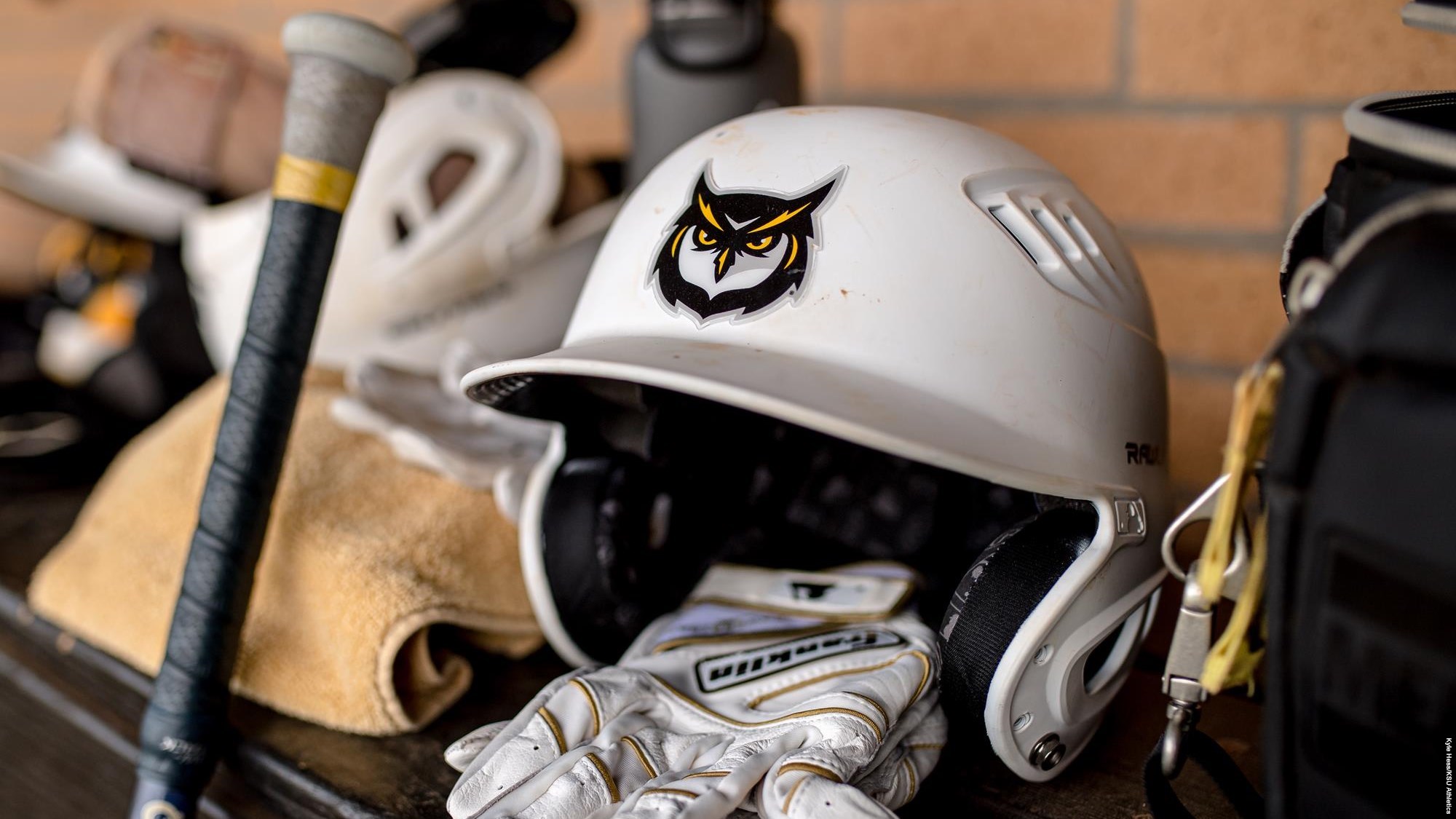 helmet