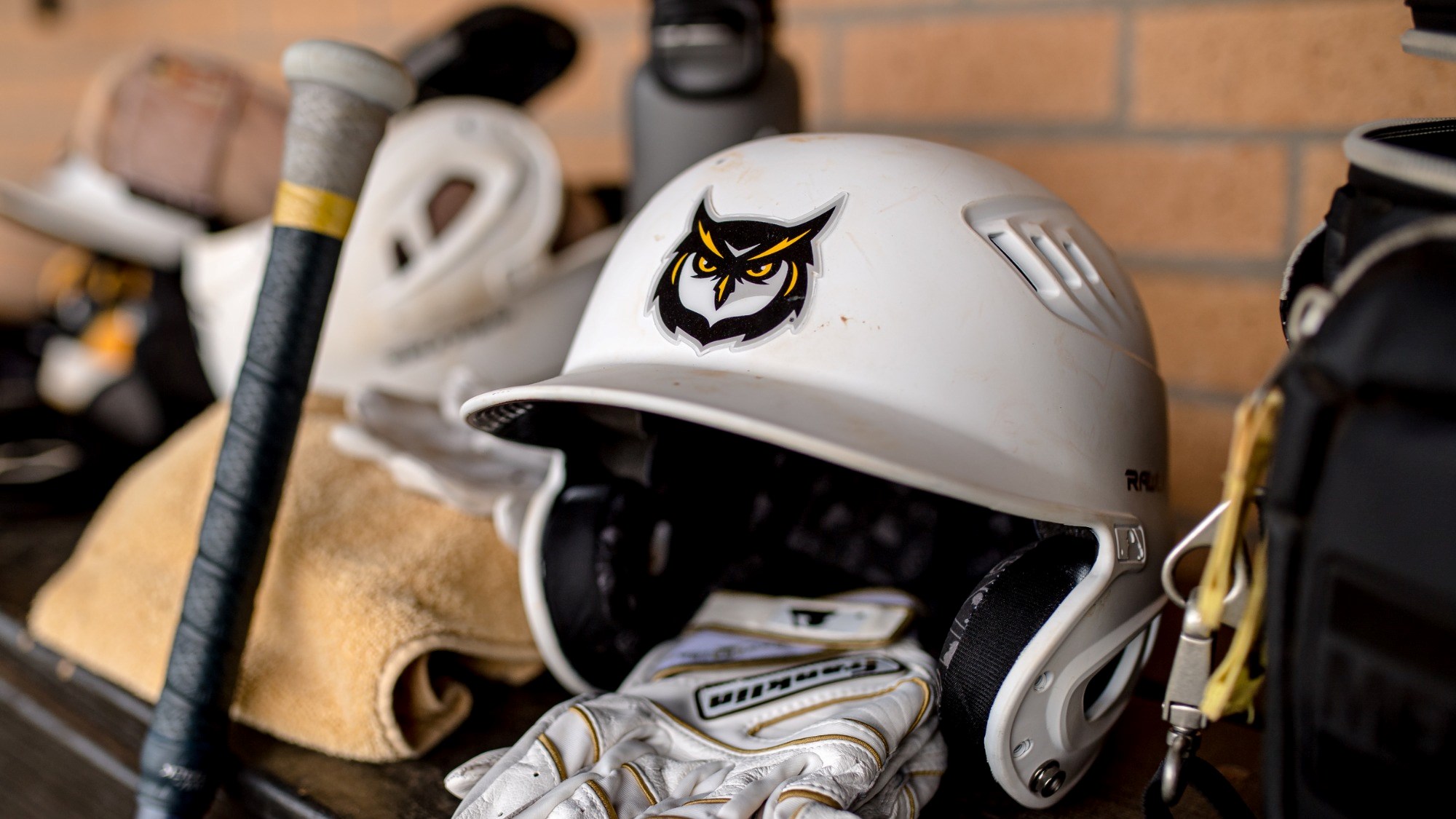 helmet and bat