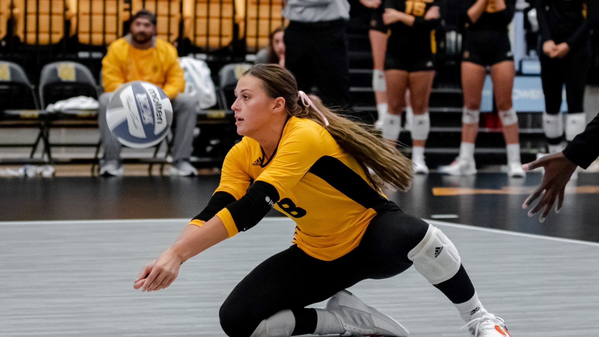 Shelby Dennis vs FGCU