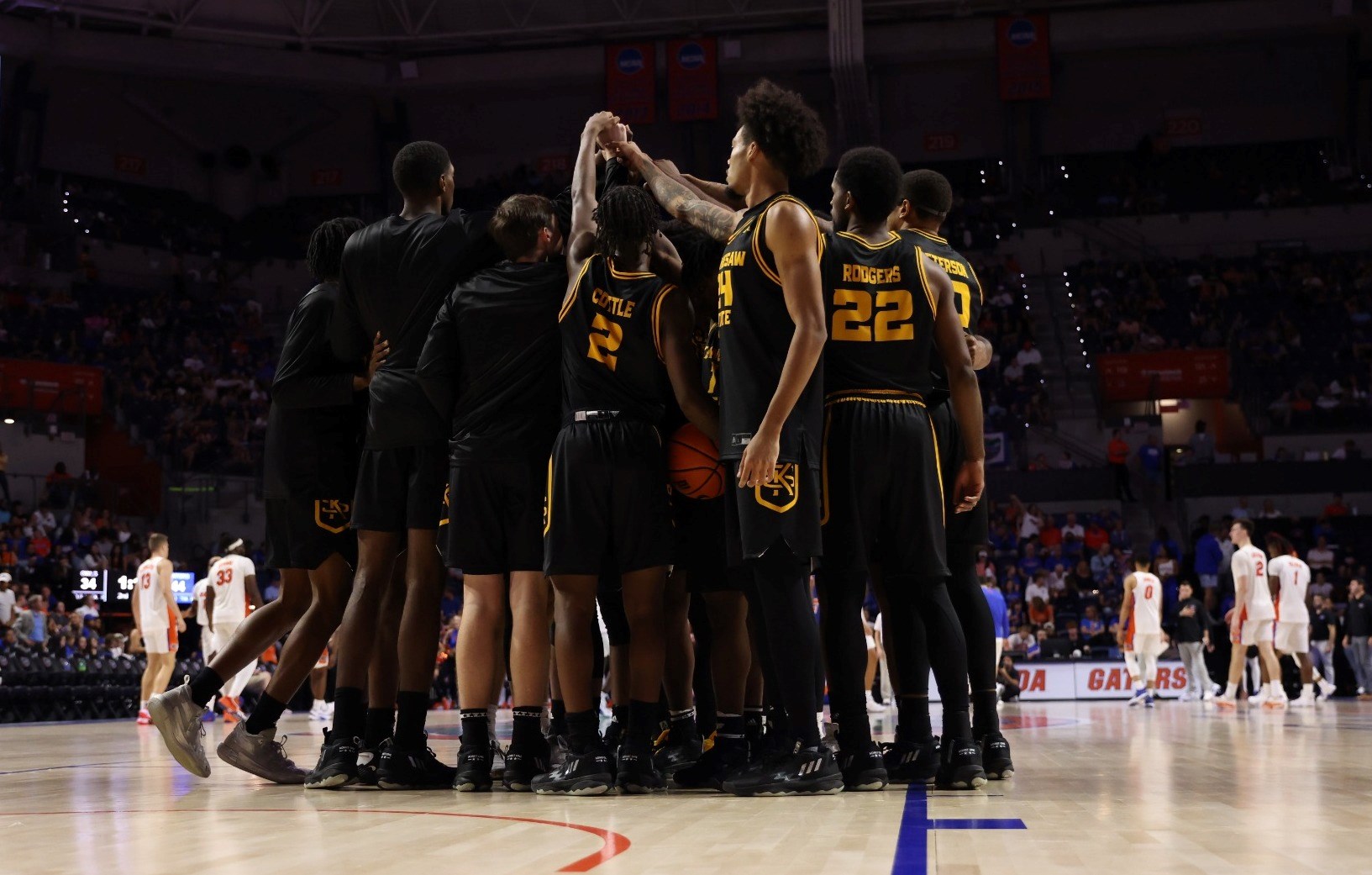 Owls at Florida