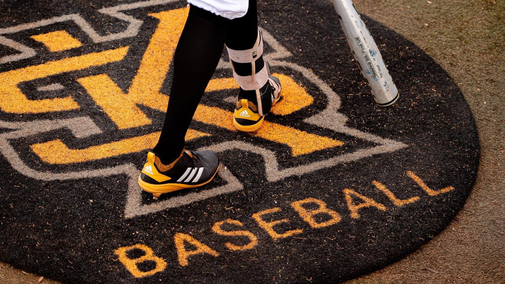 Baseball Stock On Deck