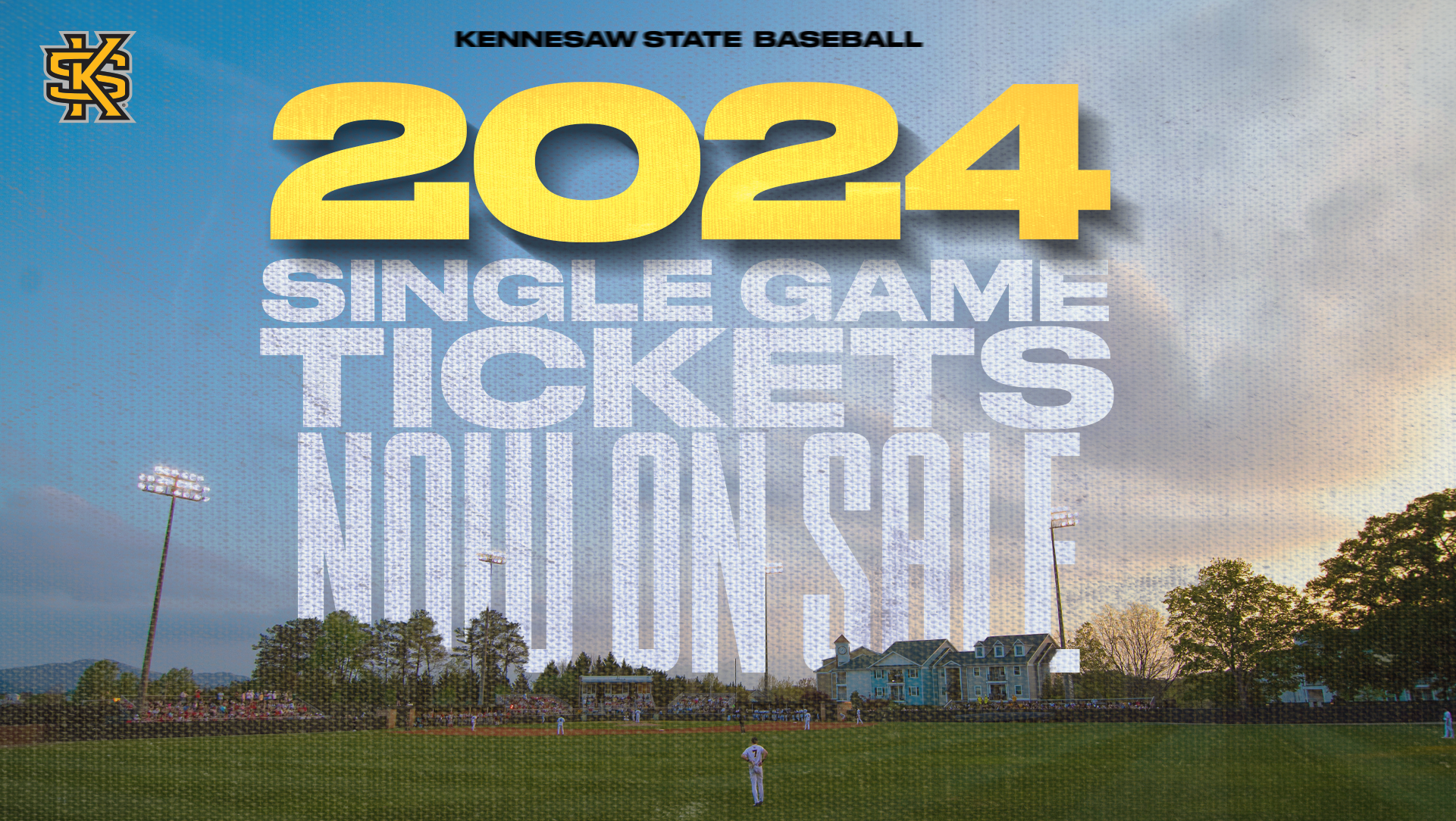 2024 baseball single game tickets