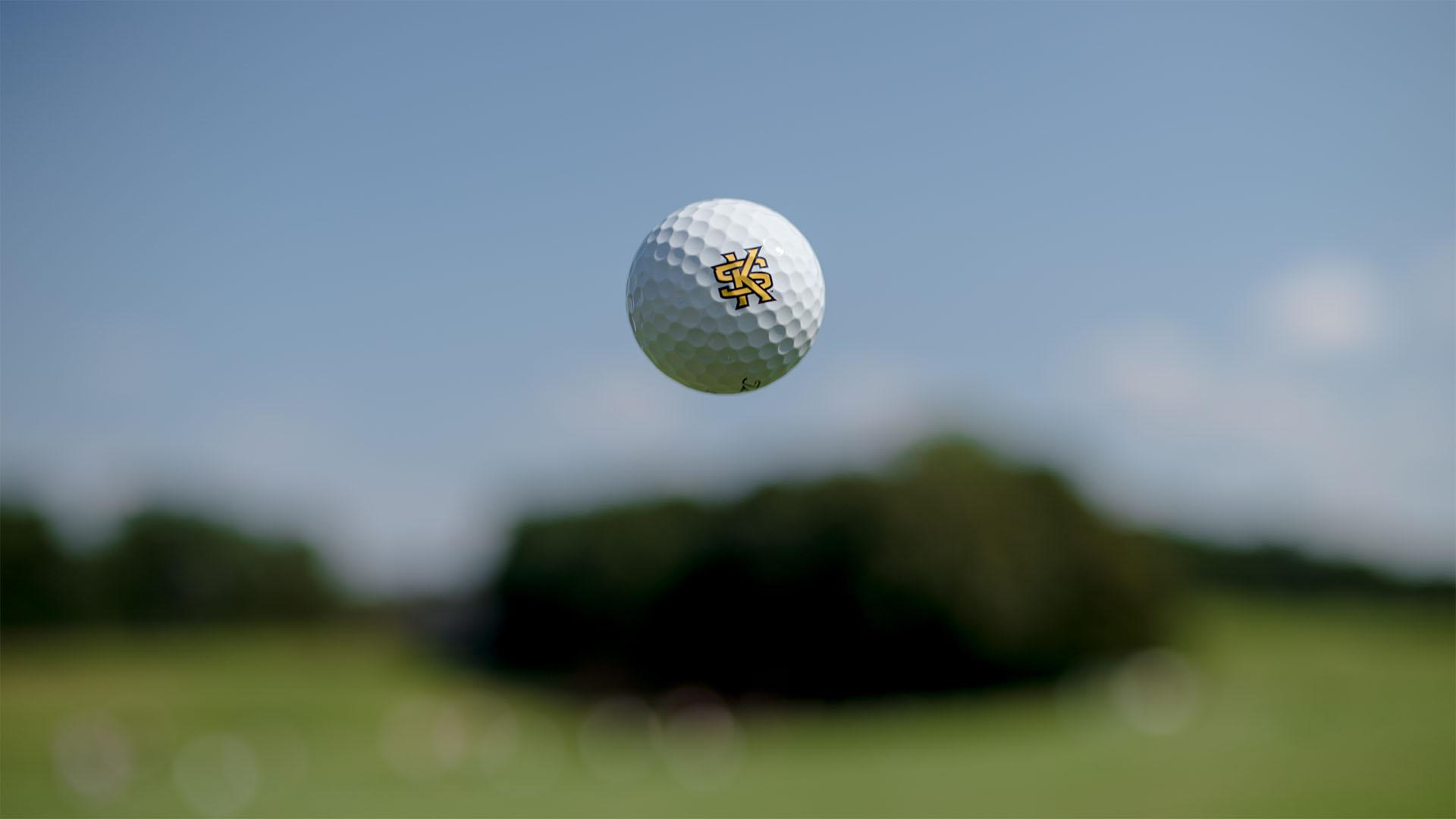 KS Golf Ball