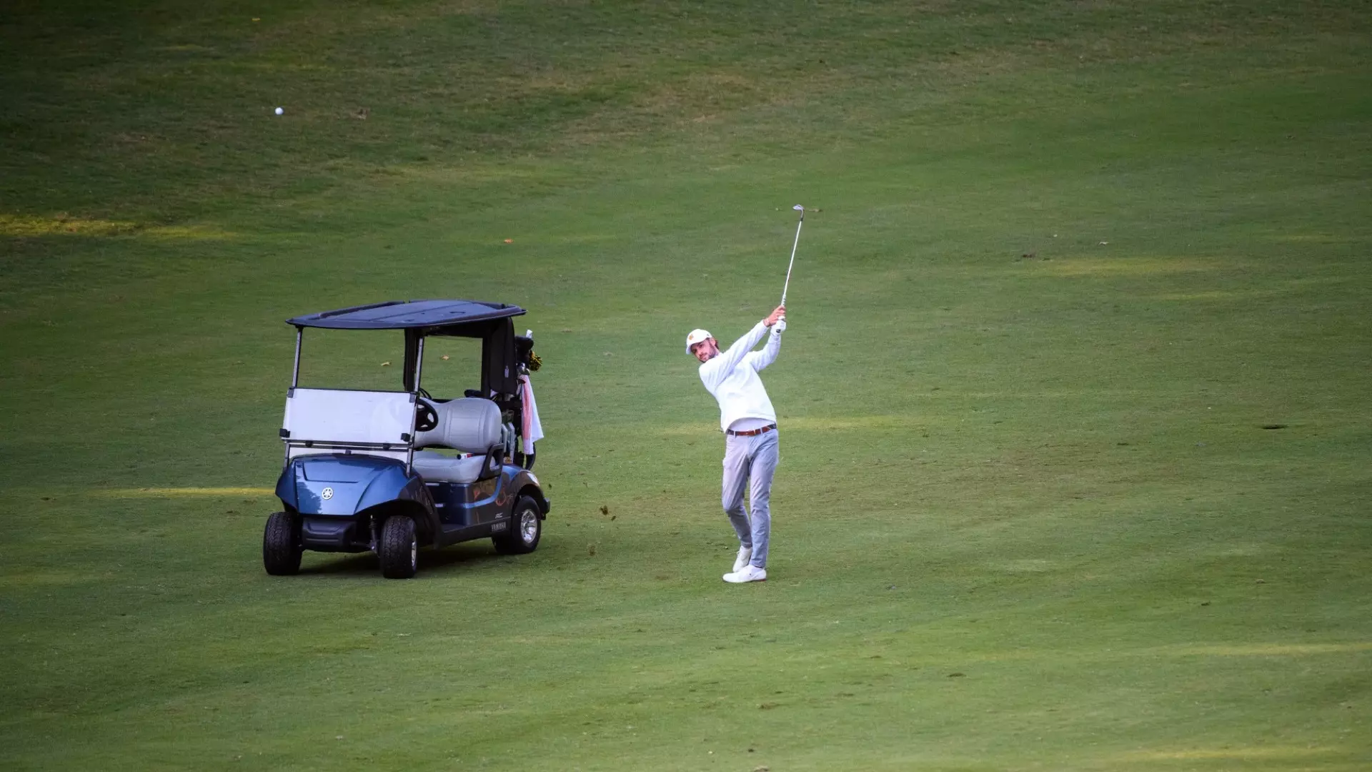 Claes Borregaard Pinetree