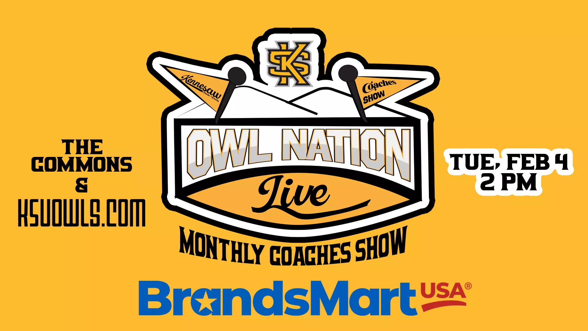 owl nation Feb
