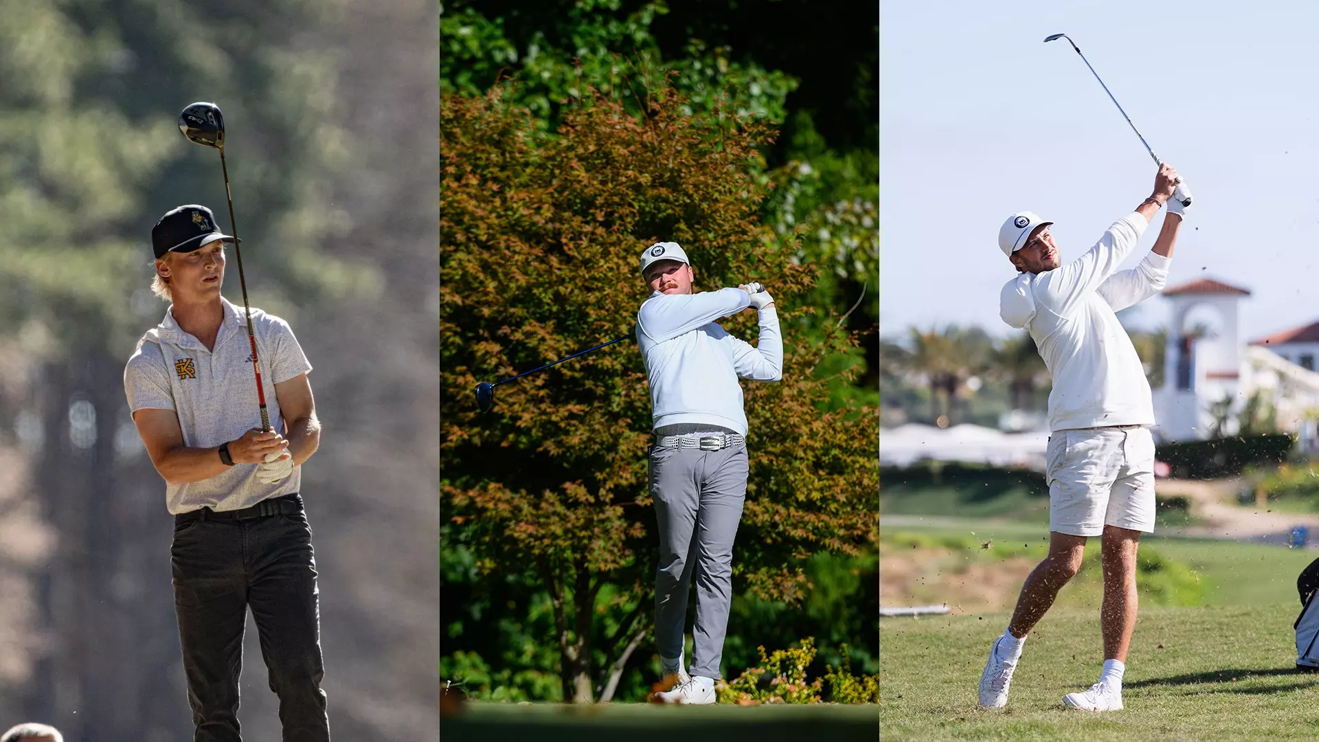 KSU Golfers GCAA Cobalt Golf All-America Scholars