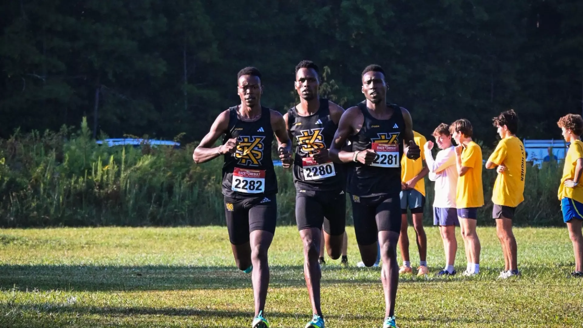 Edwin Brian and Collins 