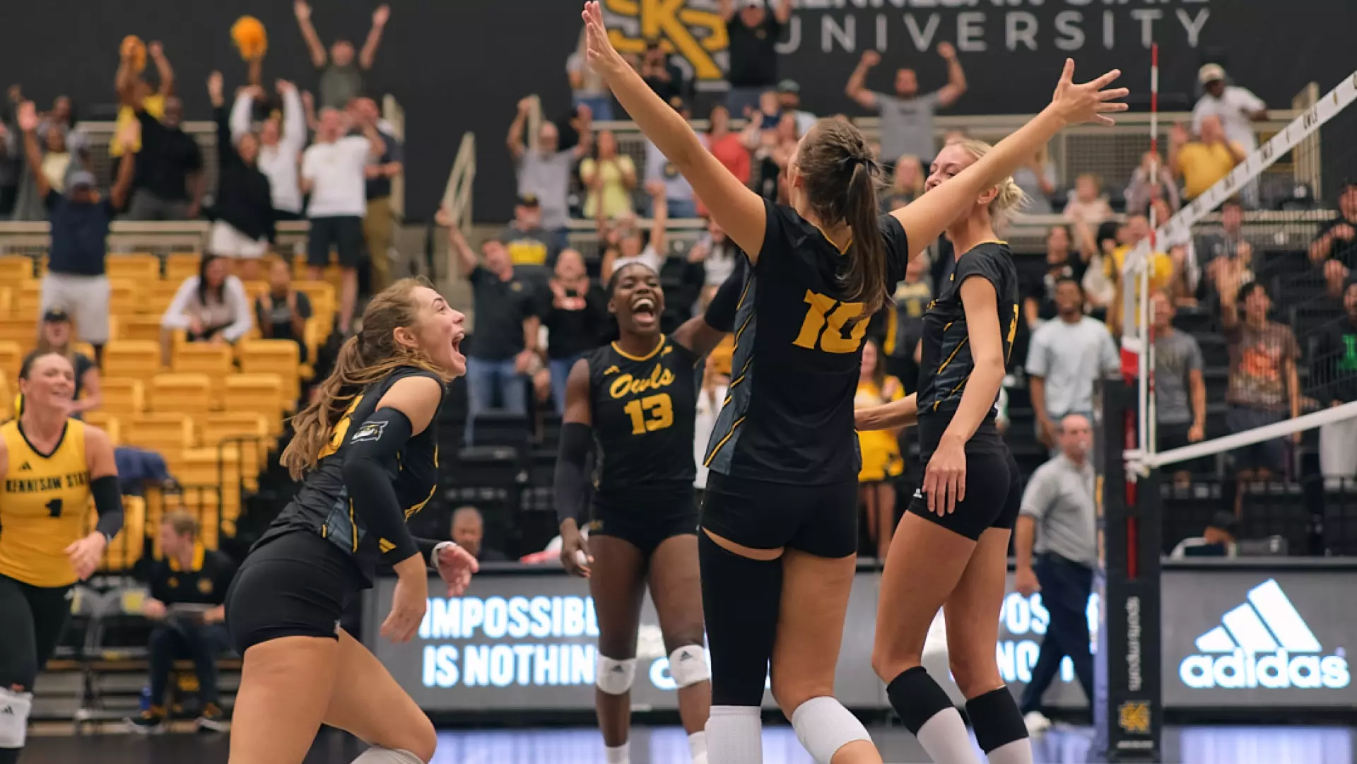 Volleyball win vs Troy