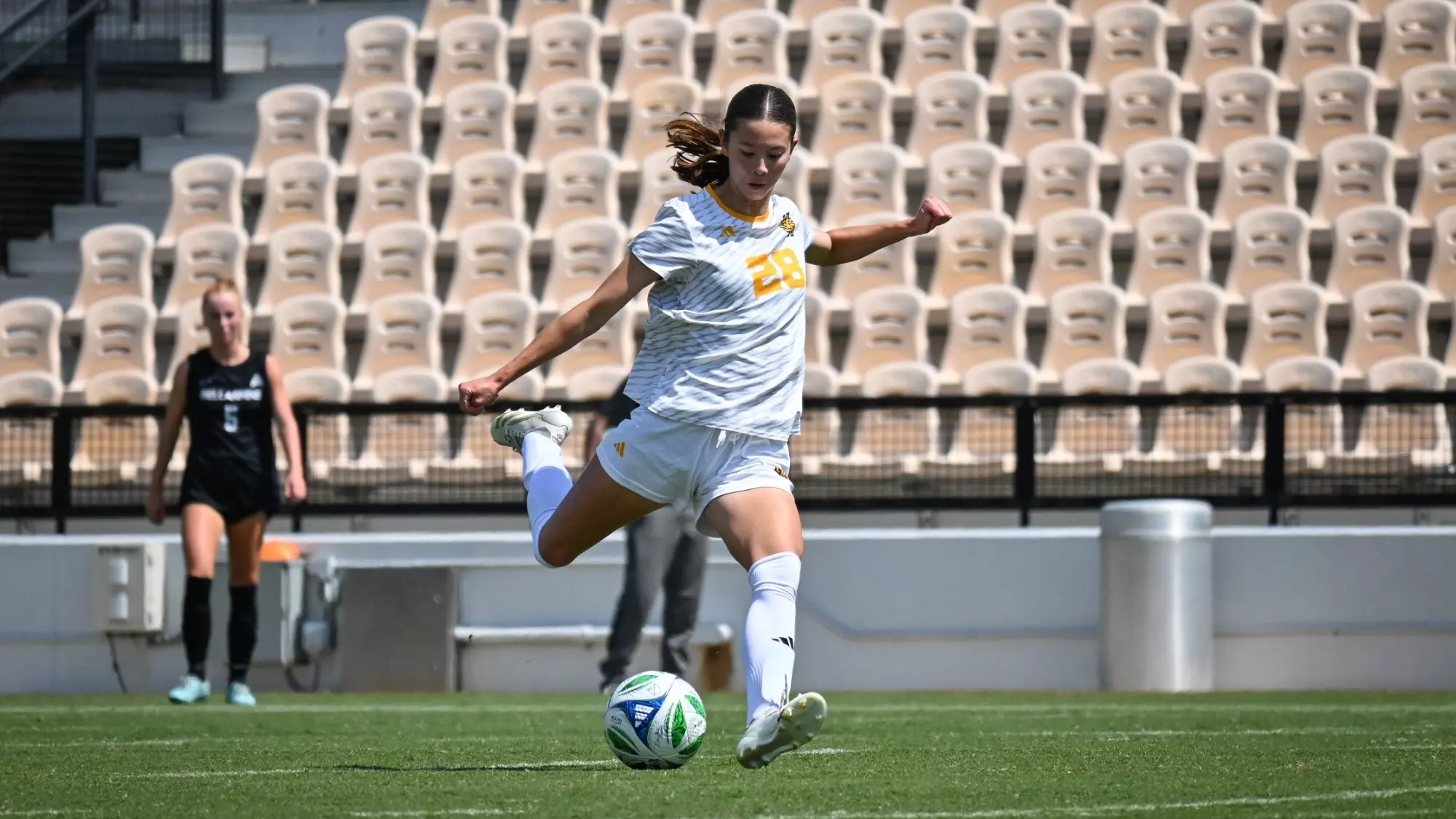 Sydni Whitehead Bellarmine